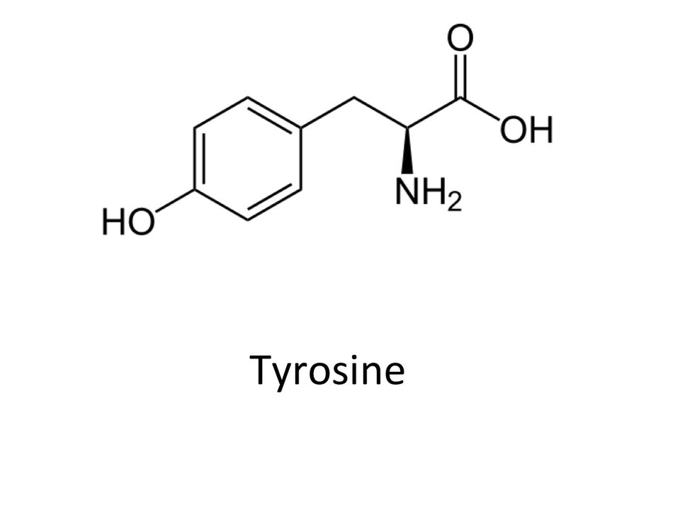 Tyrosine dans zxcvbnmqwert